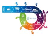 Circular economy